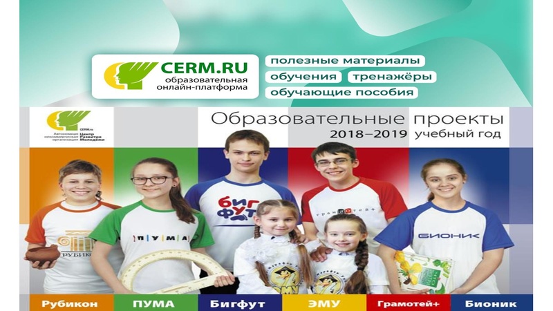 Файл:СТАДИЯ ВЫЗОВА.pdf