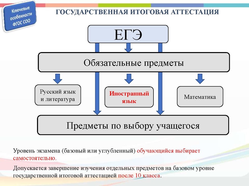Файл:Уст.ГМО ИЯ 28.10.2019.pdf