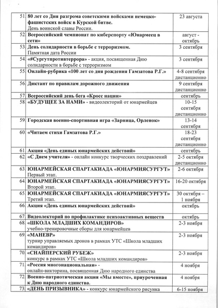 Файл:План Юнармейца.pdf