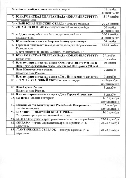 Файл:План Юнармейца.pdf