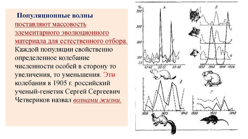 Файл:Школьники ТЭ 17.01.26.pdf