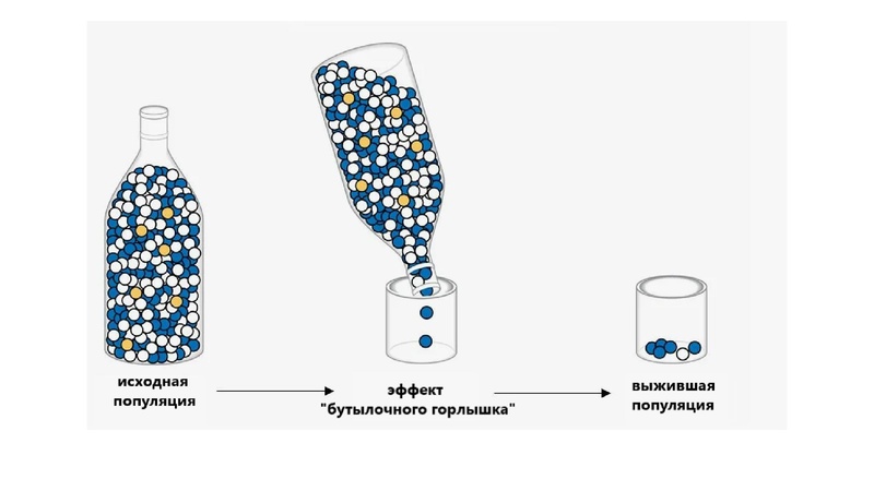 Файл:Школьники ТЭ 17.01.26.pdf