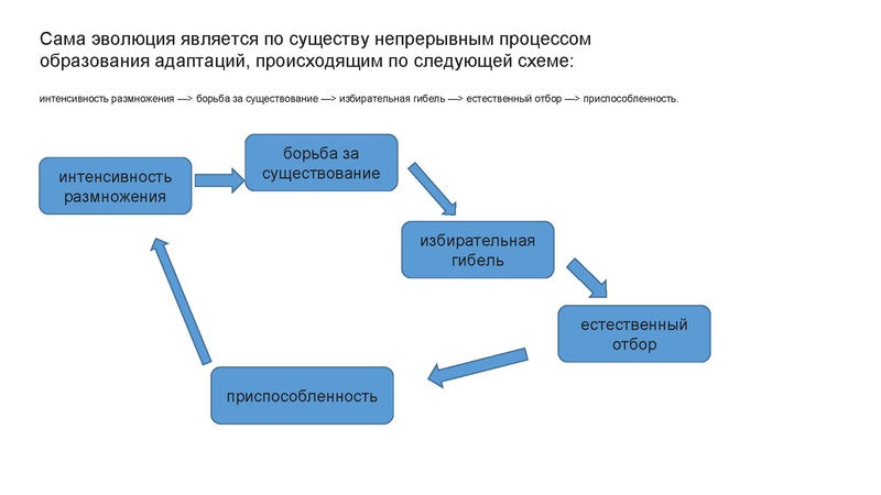 Файл:Школьники ТЭ 17.01.26.pdf