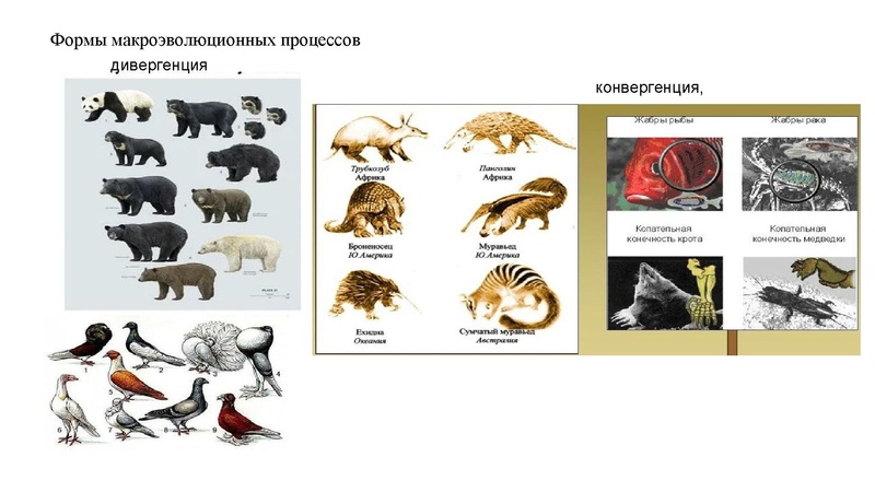 Файл:Школьники ТЭ 17.01.26.pdf