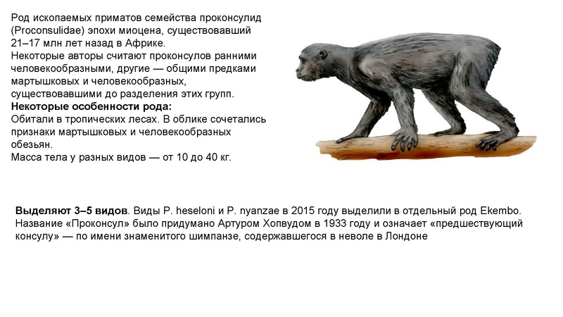 Файл:Школьники ТЭ 17.01.26.pdf