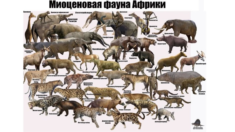 Файл:Школьники ТЭ 17.01.26.pdf