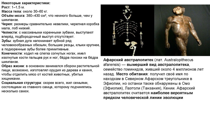 Файл:Школьники ТЭ 17.01.26.pdf