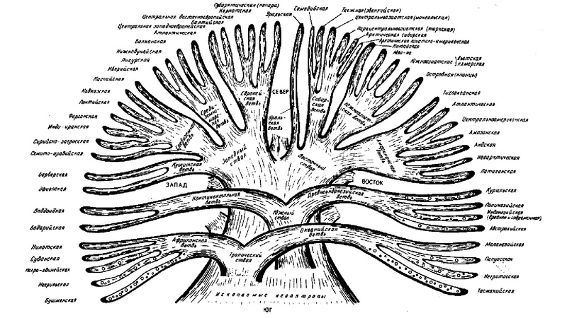 Файл:Школьники ТЭ 17.01.26.pdf