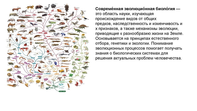 Файл:Школьники ТЭ 17.01.26.pdf