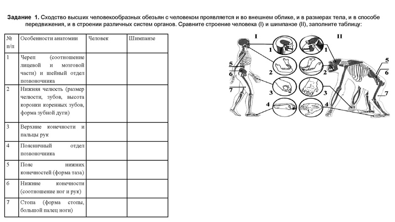 Файл:Школьники ТЭ 17.01.26.pdf