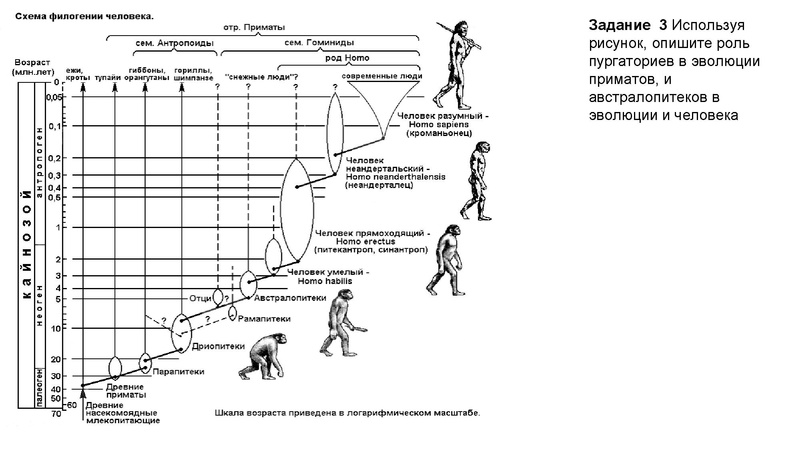 Файл:Школьники ТЭ 17.01.26.pdf