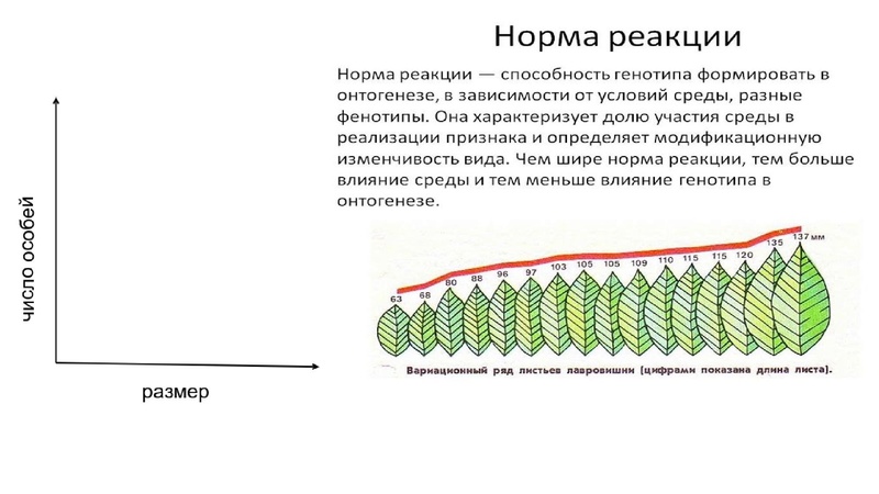 Файл:Школьники ТЭ 17.01.26.pdf