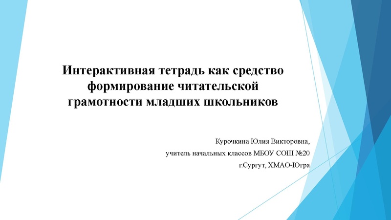 Файл:Курочкин555а Ю.В.pdf
