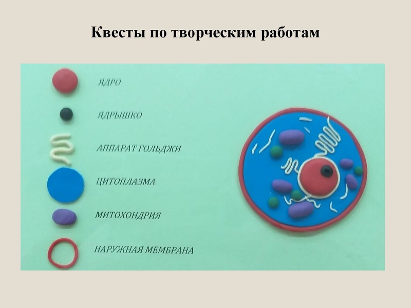 Файл:Климова С.а. Эффективные технологии на уроках.pdf