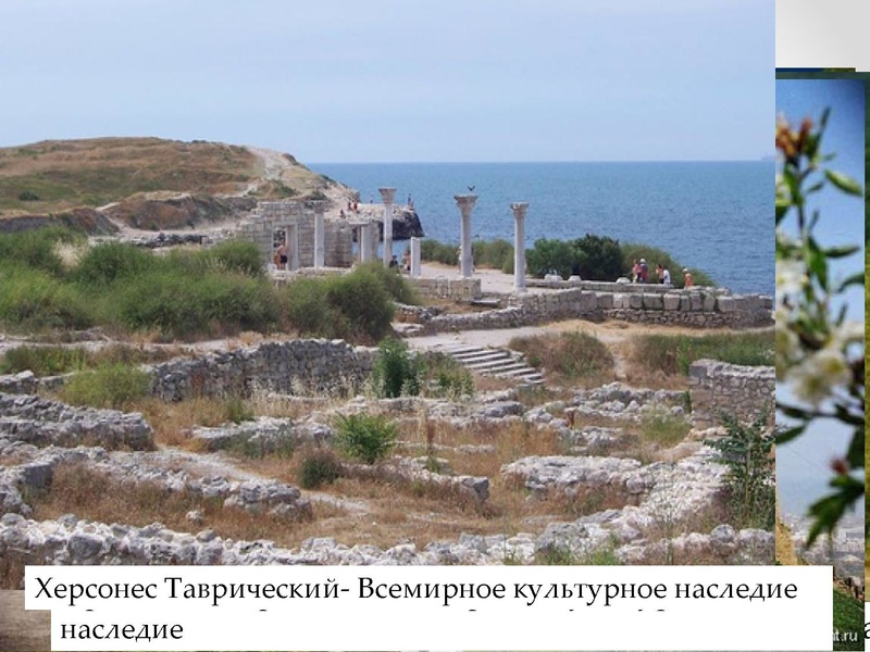 Файл:Лемешкина Н.А. ГМО 16.02.2022.pdf