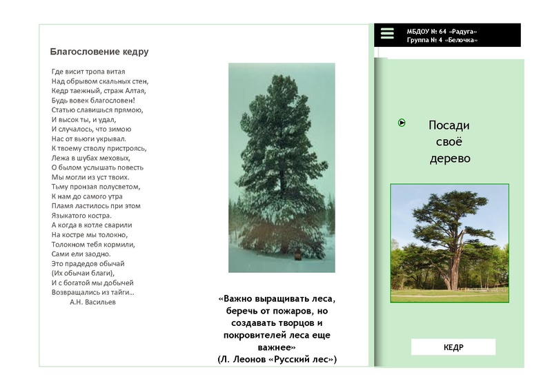 Файл:Кедр буклет.pdf