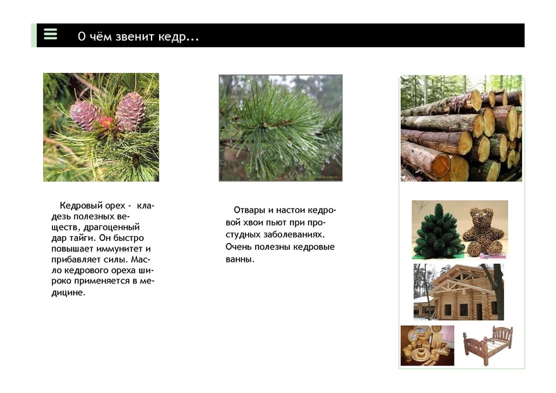 Файл:Кедр буклет.pdf