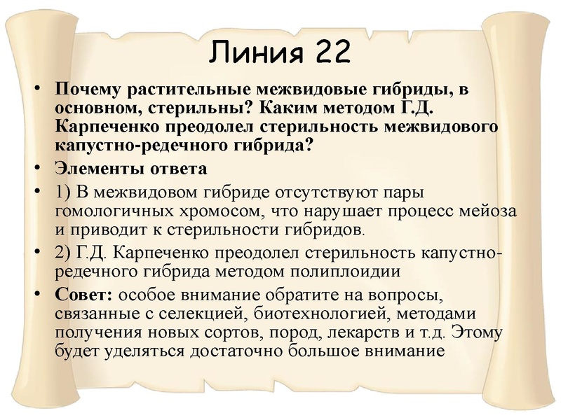 Файл:21,01.pdf