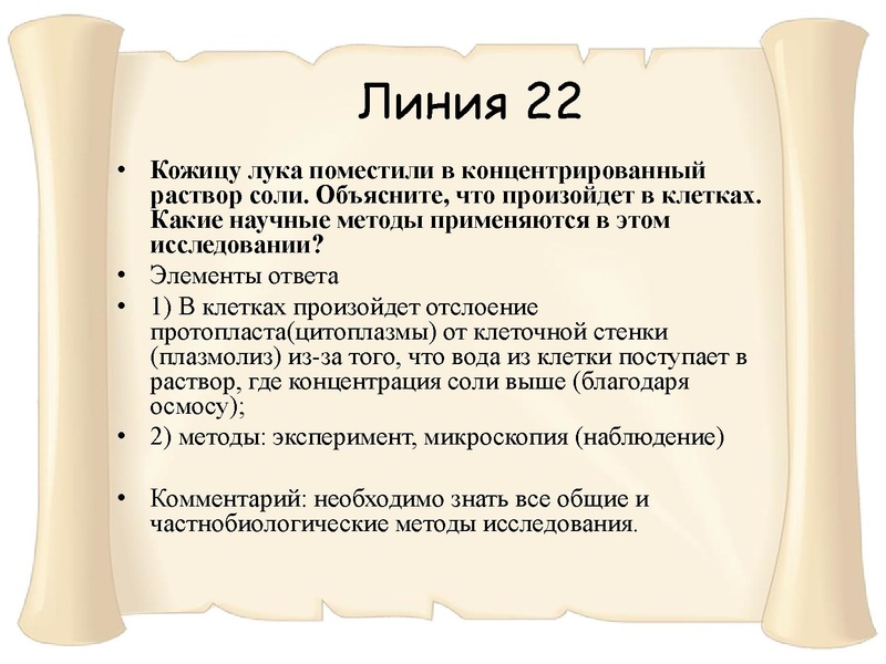 Файл:21,01.pdf