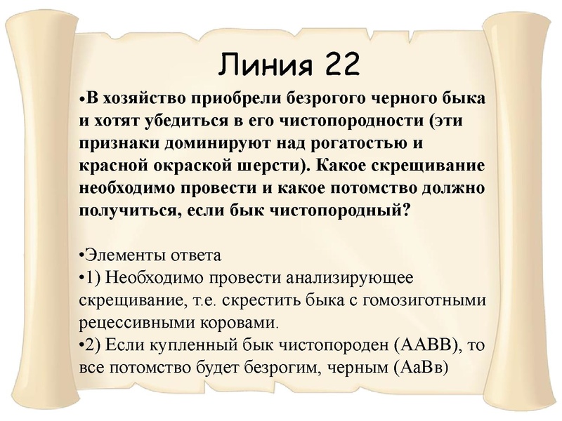 Файл:21,01.pdf