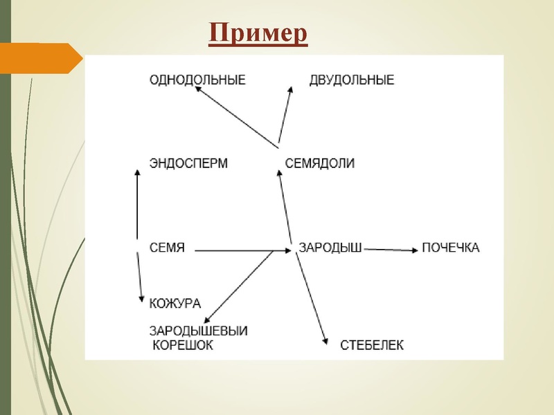 Файл:Апокина Л.Ю. Развитие мышления.ppt