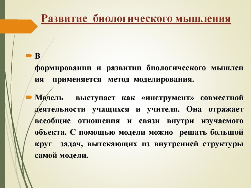 Файл:Апокина Л.Ю. Развитие мышления.ppt