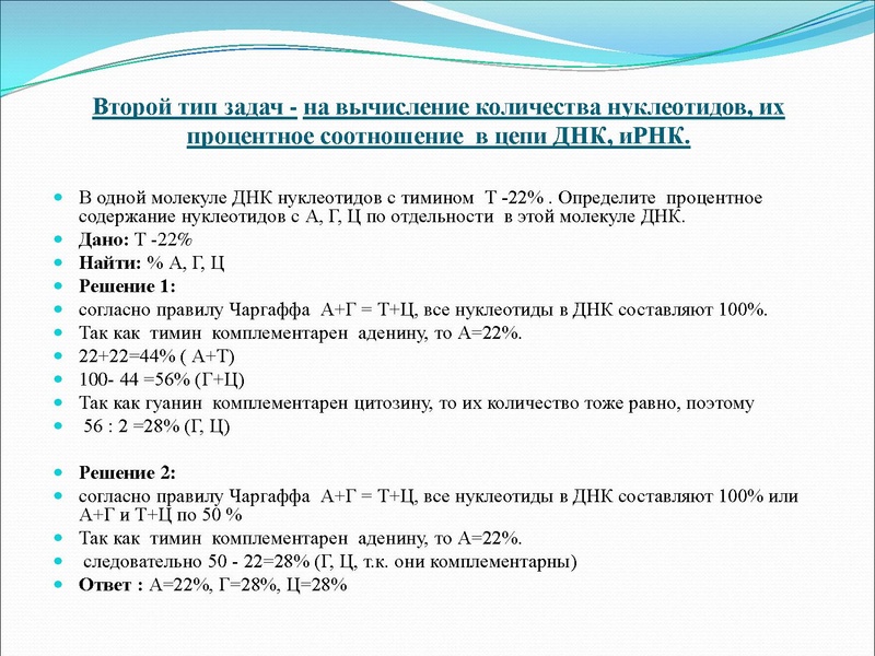 Файл:03,12вебинар молекулярка.pdf