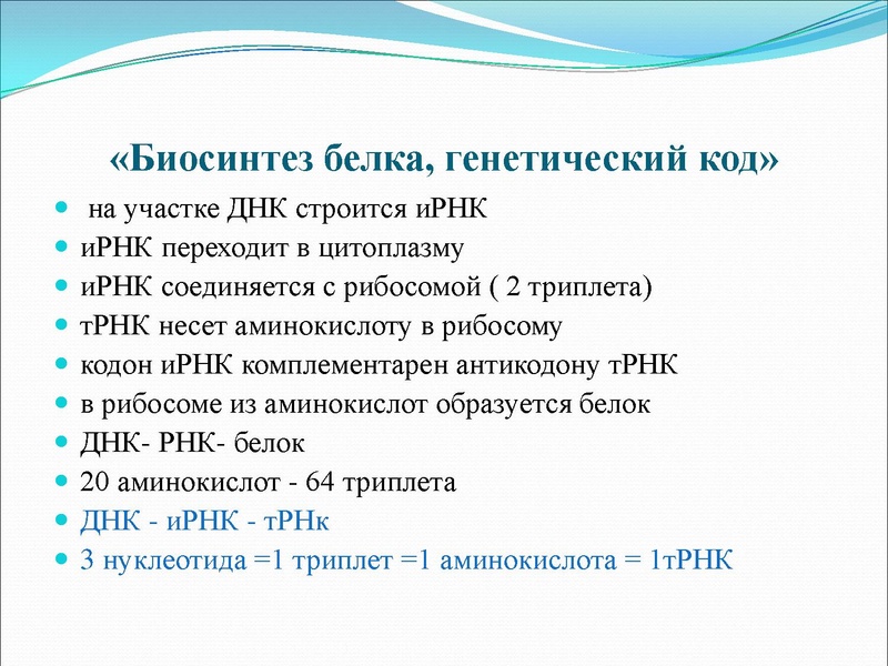 Файл:03,12вебинар молекулярка.pdf
