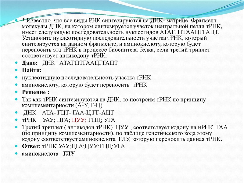 Файл:03,12вебинар молекулярка.pdf