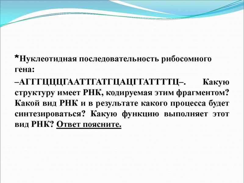 Файл:03,12вебинар молекулярка.pdf