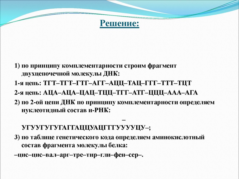 Файл:03,12вебинар молекулярка.pdf