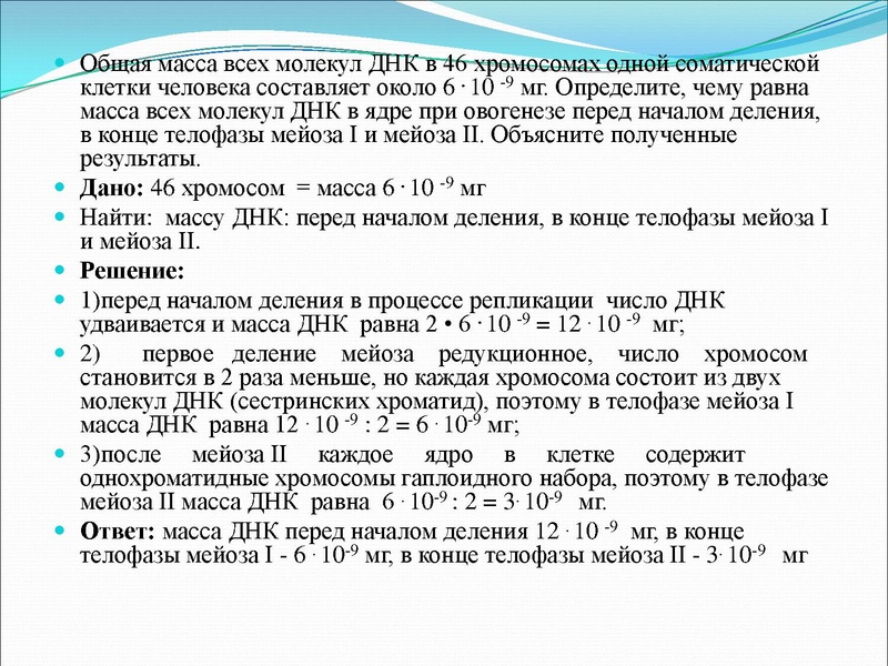 Файл:03,12вебинар молекулярка.pdf