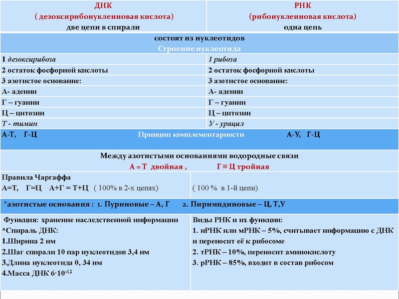 Файл:03,12вебинар молекулярка.pdf