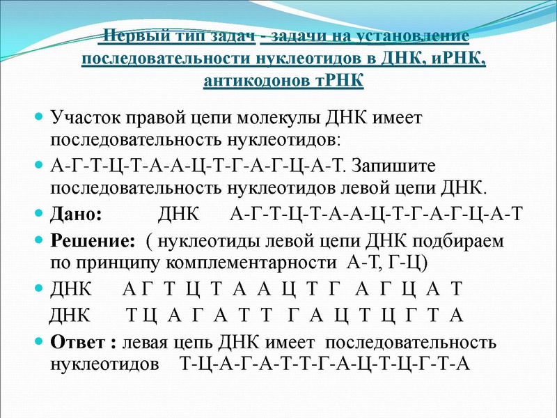 Файл:03,12вебинар молекулярка.pdf