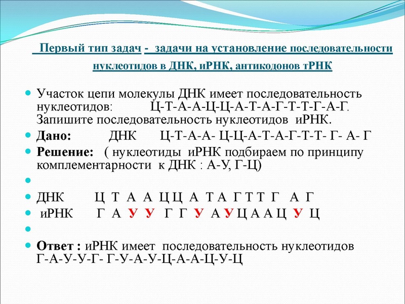 Файл:03,12вебинар молекулярка.pdf