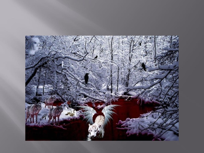 Файл:В гостях у хозяина тайги.pdf