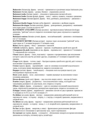 следующая страница →