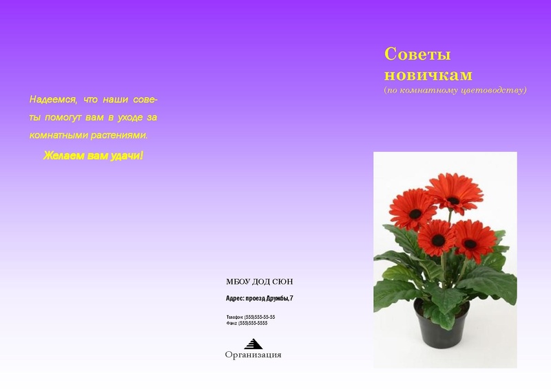 Файл:Публикация Советы новичкам.pdf