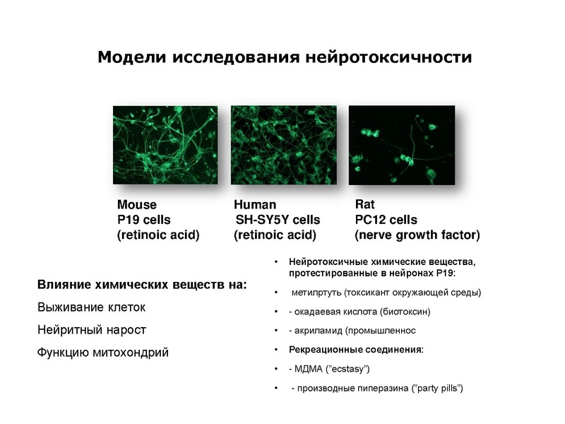 Файл:Инновационные здоровьесберегающие технологии.pdf