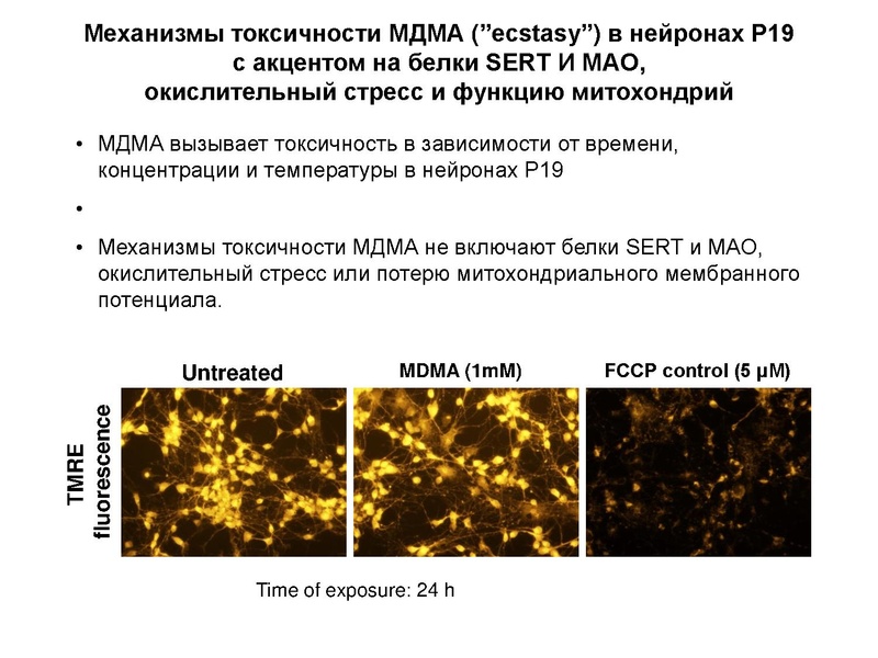Файл:Инновационные здоровьесберегающие технологии.pdf