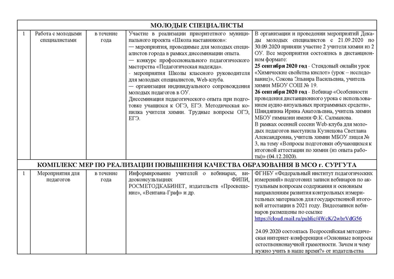 Файл:Отчет ГМО учителей химии 2020-2021.pdf