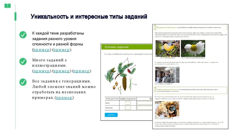 Файл:Vozmozhnosti ispolzovania platformy Yaklass v rabote uchitelya biologii.pdf