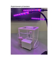 следующая страница →