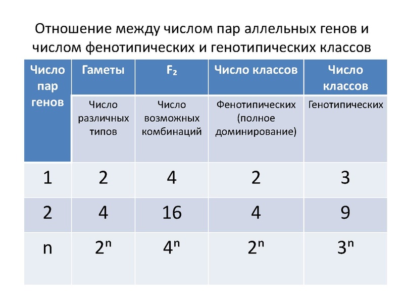 Файл:Видеоконференция С7.pdf