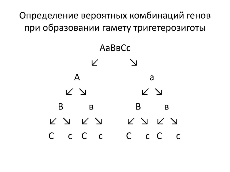 Файл:Видеоконференция С7.pdf