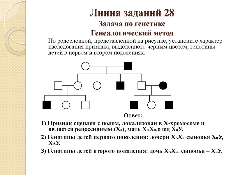 Файл:Генетика 04.02.pdf