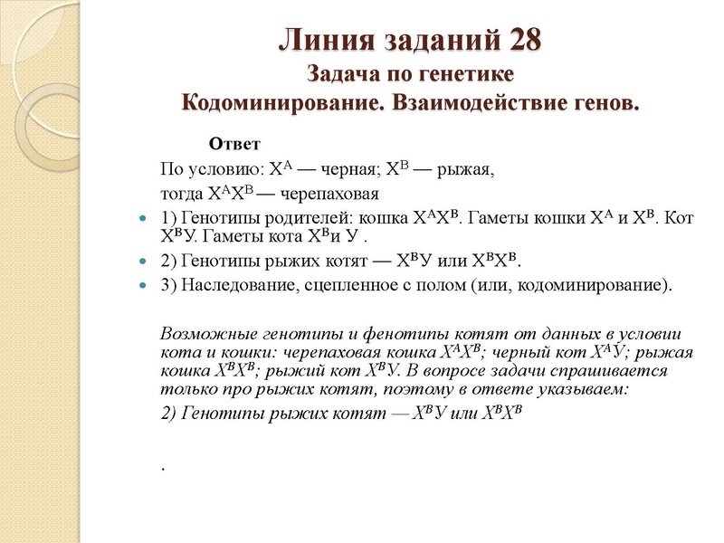 Файл:Генетика 04.02.pdf