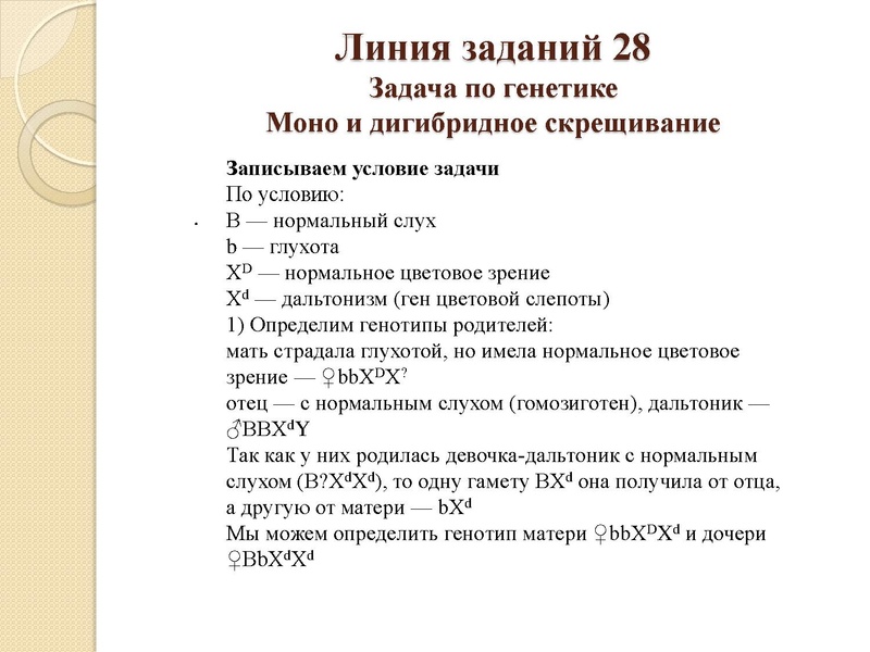 Файл:Генетика 04.02.pdf