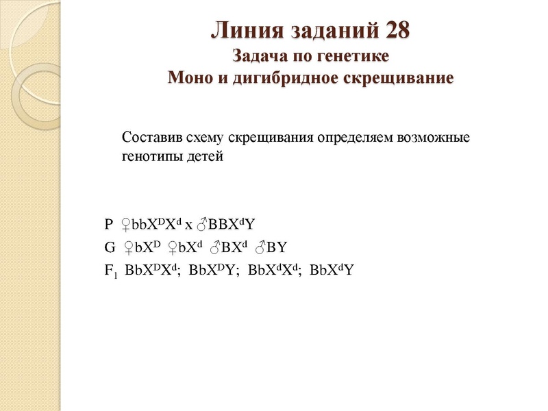 Файл:Генетика 04.02.pdf