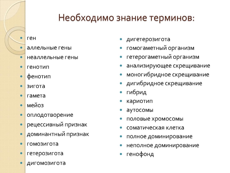 Файл:Генетика 04.02.pdf